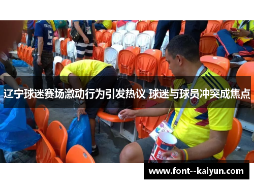 辽宁球迷赛场激动行为引发热议 球迷与球员冲突成焦点 辽宁球迷赛场激动行为引发热议 球迷与球员冲突成焦点
